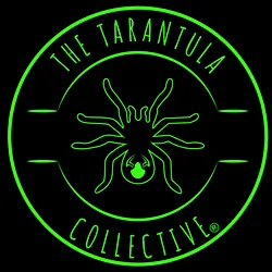 /img/15776-tarantula-feeding.webp