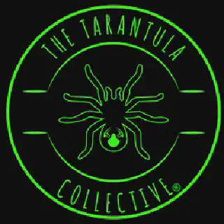 /img/15776-tarantula-feeding.webp