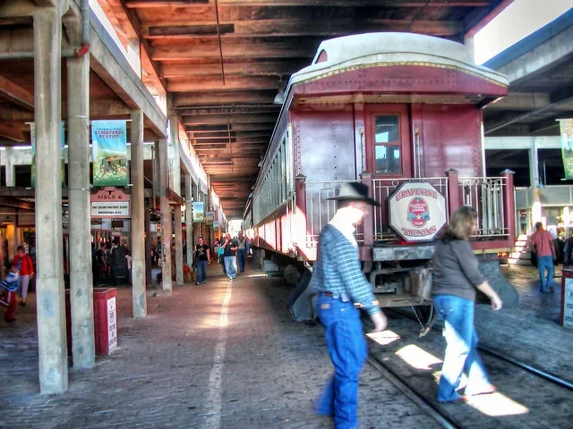 15777 tarantula behavior understanding