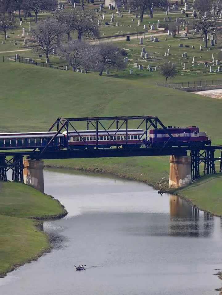15777 tarantula climbing structure