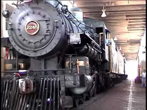 15777 tarantula food reward