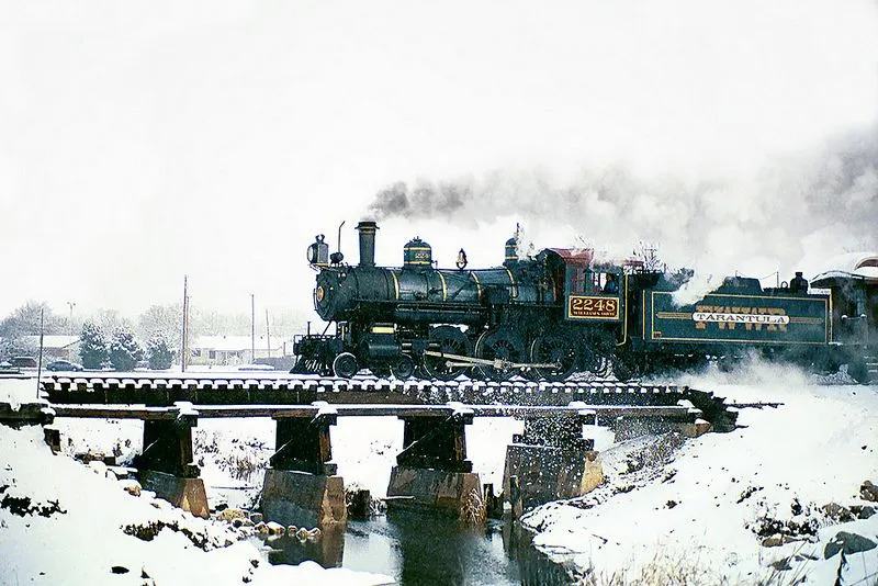 15777 tarantula target training