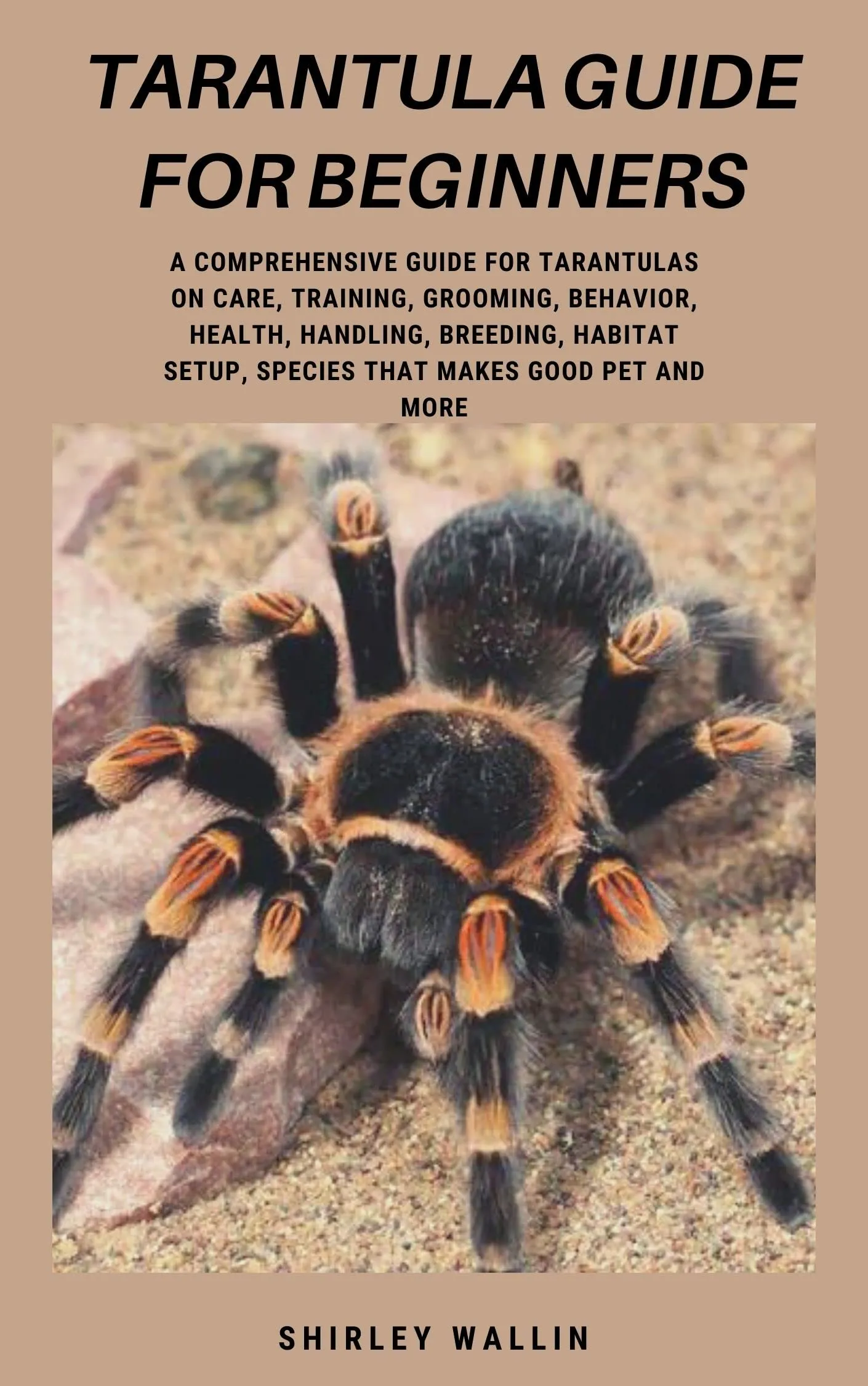 15785 tarantula molting