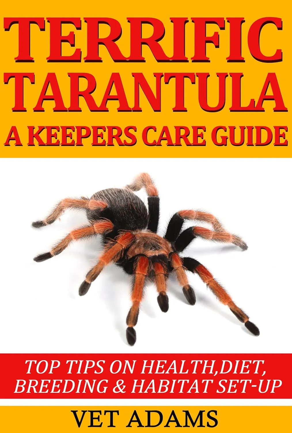 15785 tarantula watering