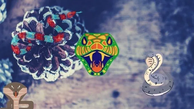 15786 facing your fears