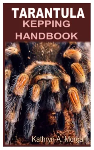 /img/15790-tarantula-cleaning.webp