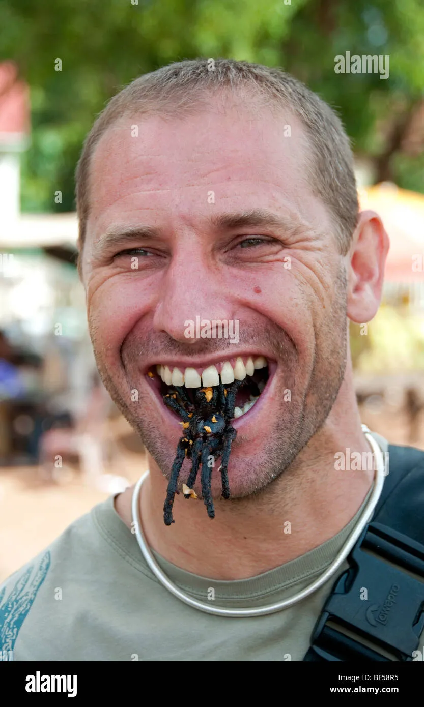 15803 cambodian tarantula market