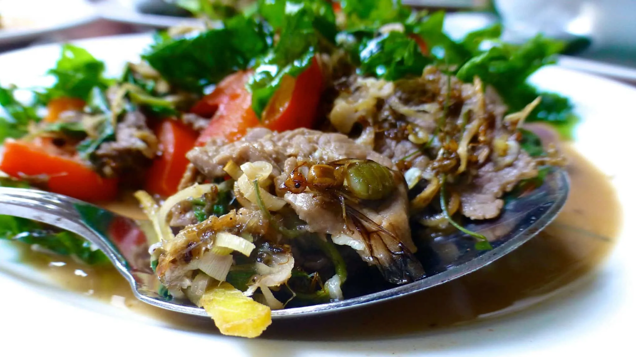 15803 deep frying process