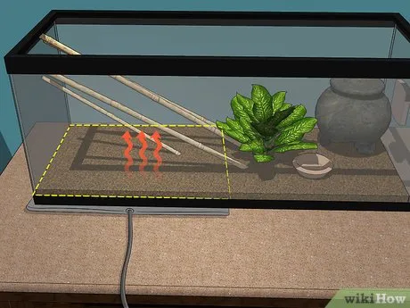 15804 tarantula feeding