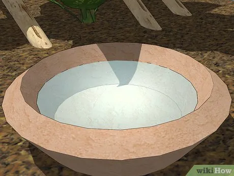 15804 tarantula molting