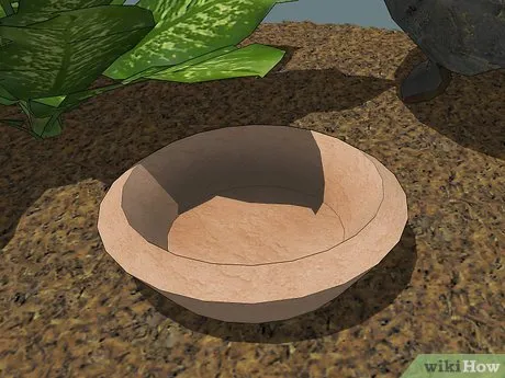 15804 tarantula substrate