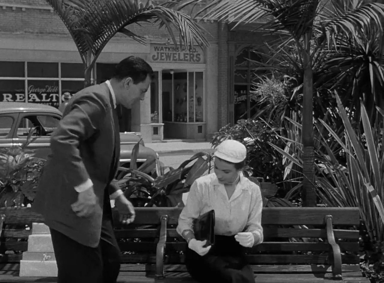 15805 giant tarantula cast