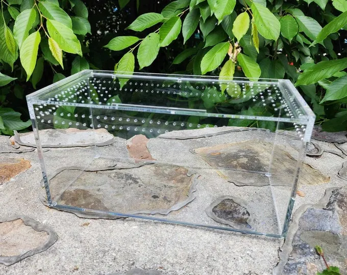 15811 choosing magnetic tarantula enclosure