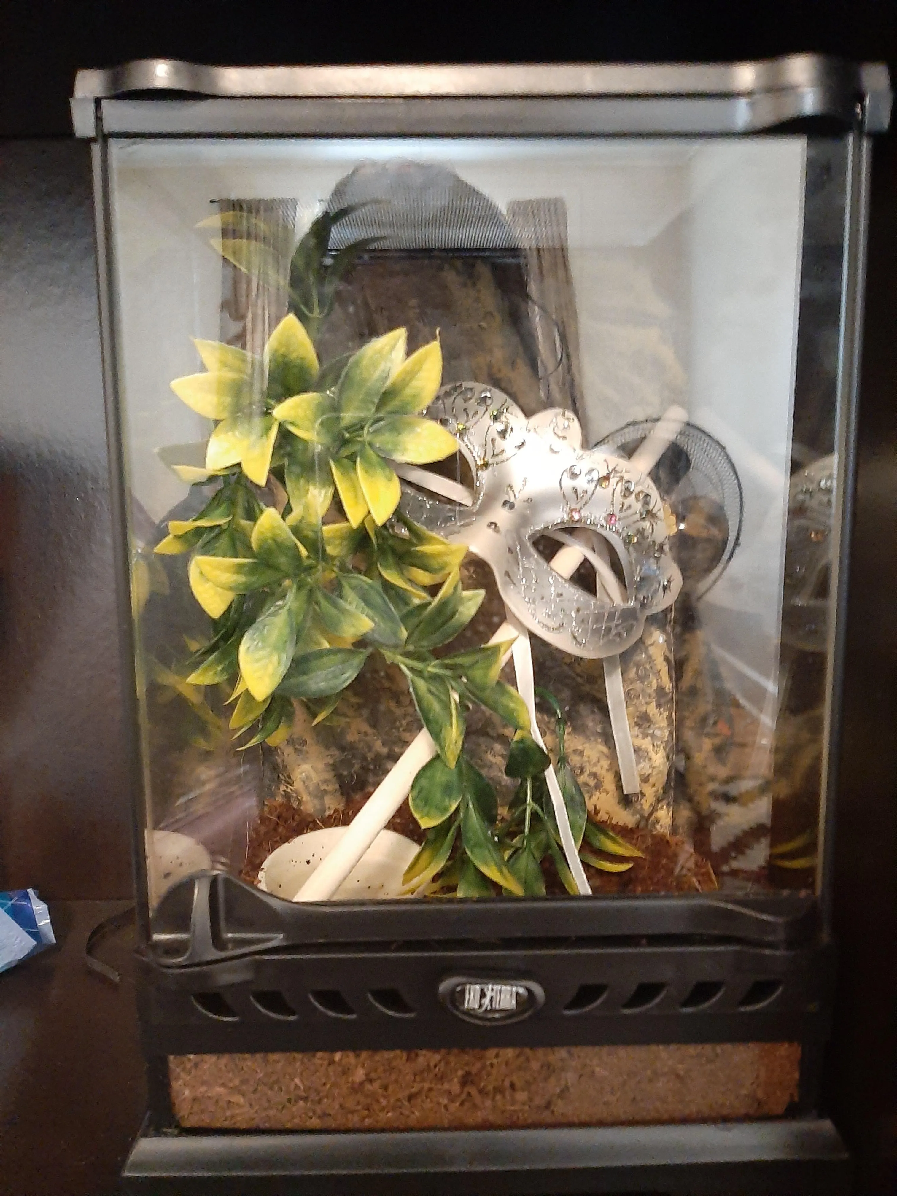 15811 magnetic tarantula enclosure design