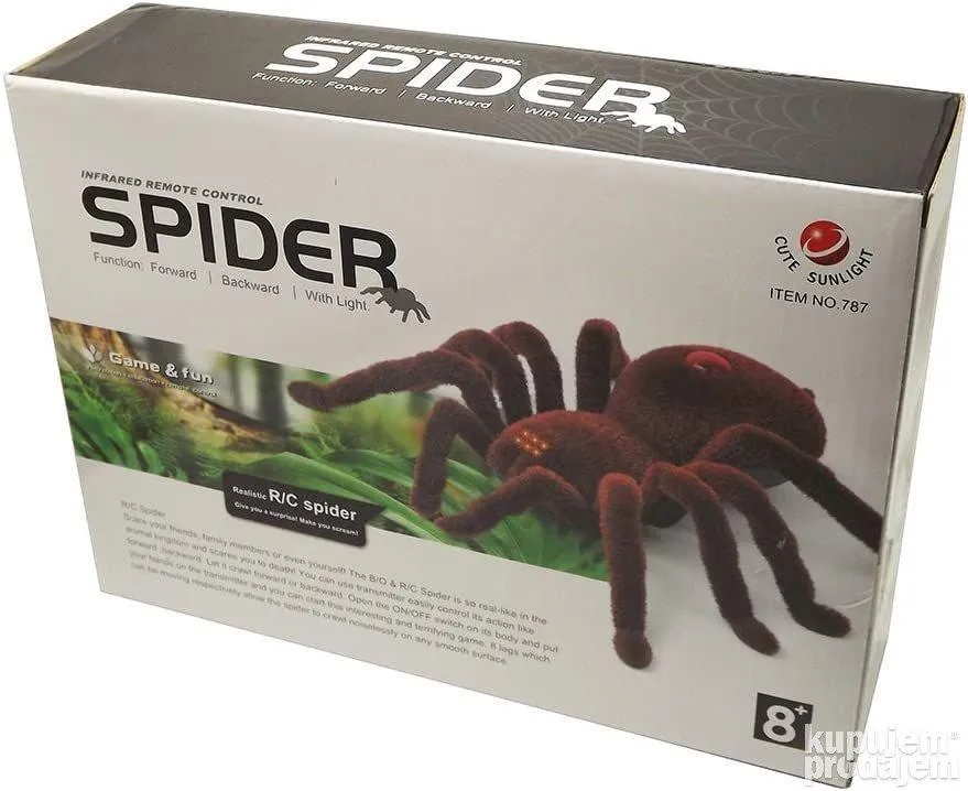 15813 tarantula pauk species