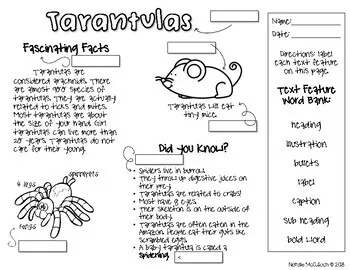 15822 scorpion defense