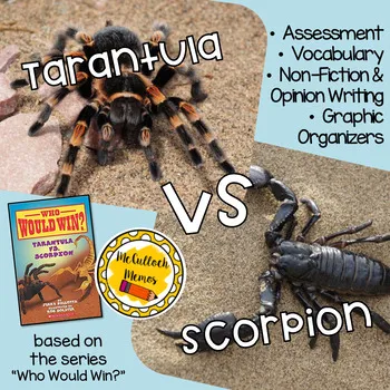 15822 tarantula vs scorpion size