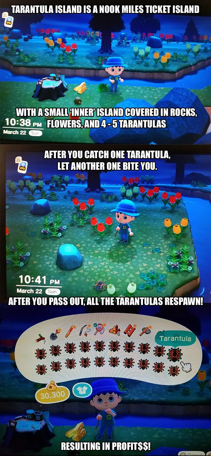 15824 animal crossing catching tarantula