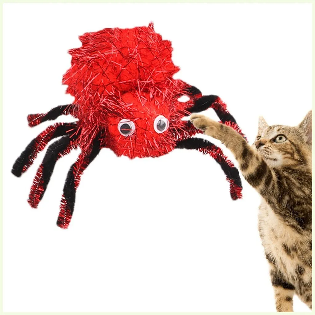 15834 tarantula prank image6