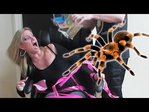 15834 tarantula toy image3