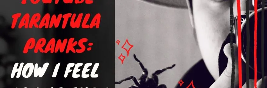 15834 tarantula toy prank image1