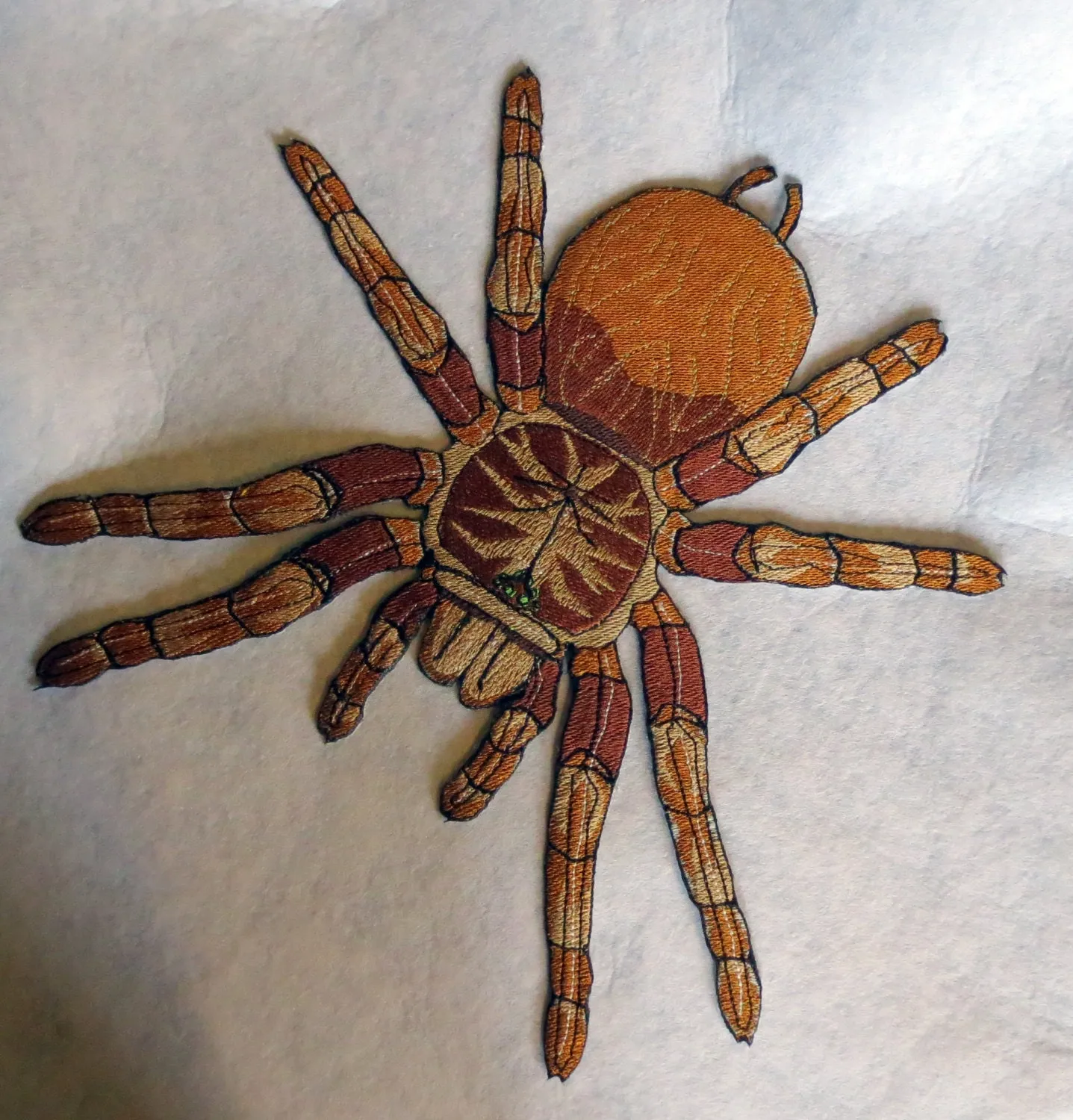 15838 goliath spider tarantula lifespan