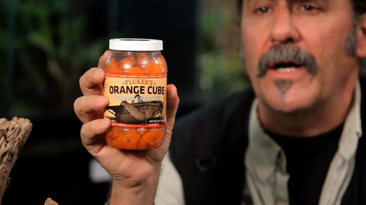 15843 crickets for tarantulas