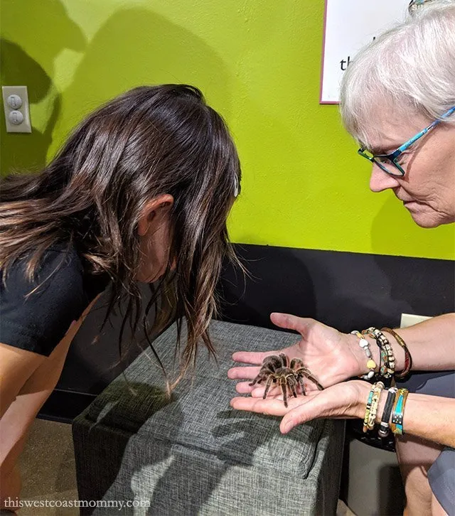 15845 rosie the tarantula book conservation