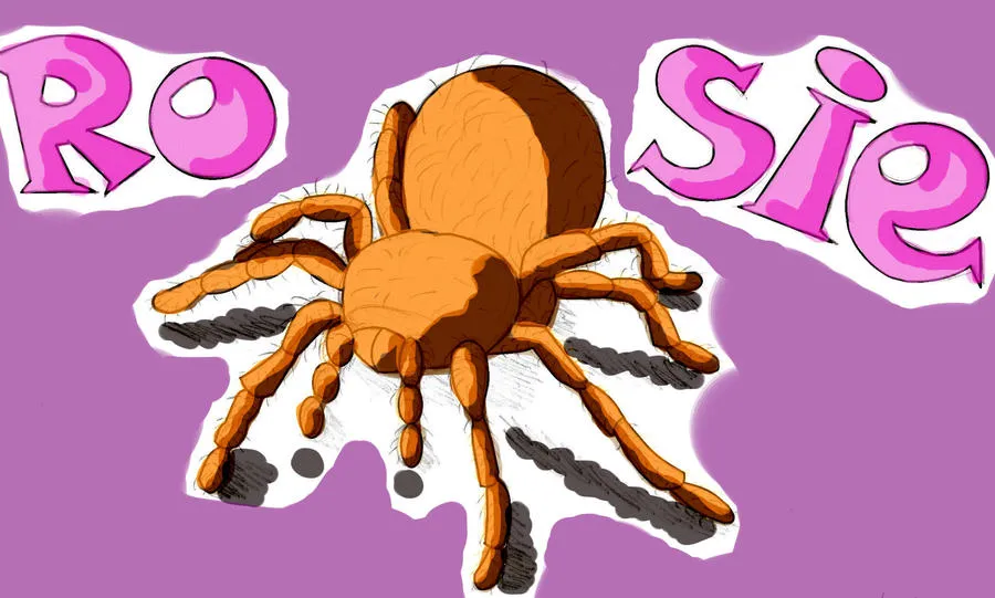 15845 rosie the tarantula book diet