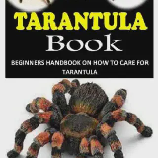 /img/15845-rosie-the-tarantula-book.webp