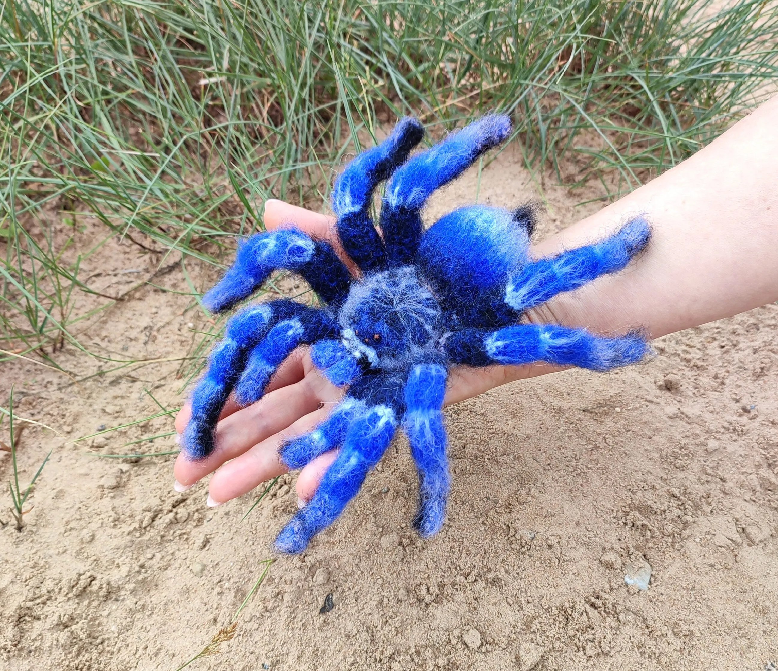 15847 tarantula defense