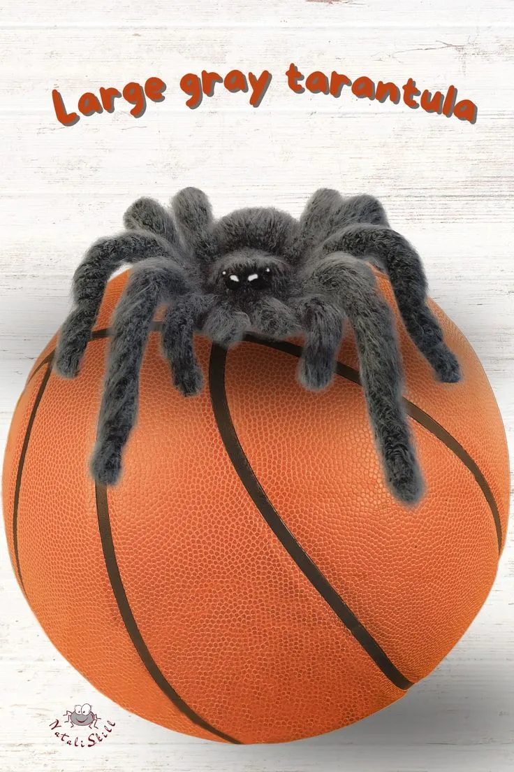 15847 tarantula habitat