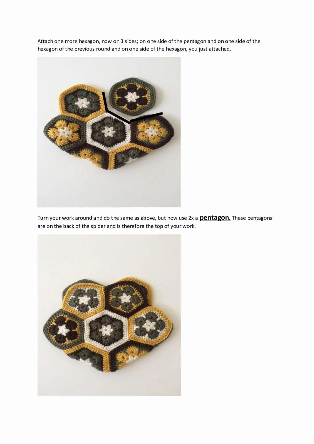 15848 african flower tarantula 5