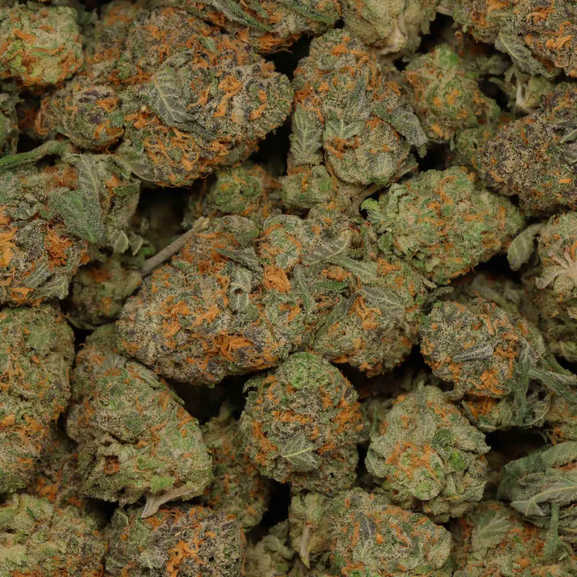 15852 alien tarantula weed compounds