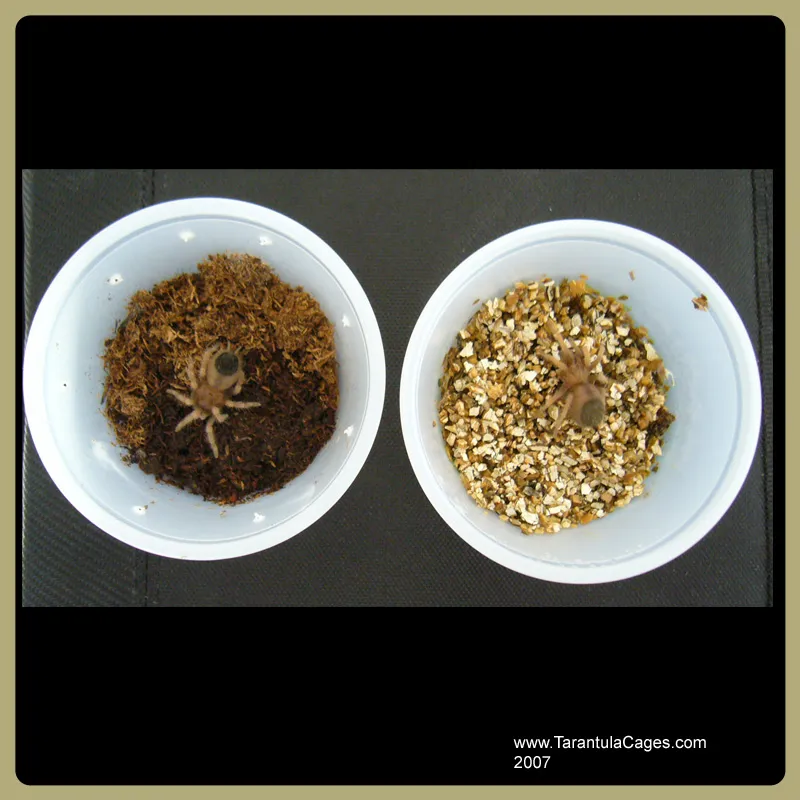 15865 tarantula substrate