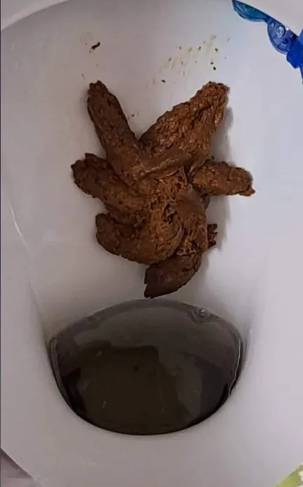 15866 tarantula diet impact