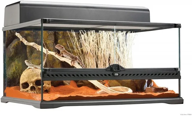 15873 tarantula enclosure kenya 1