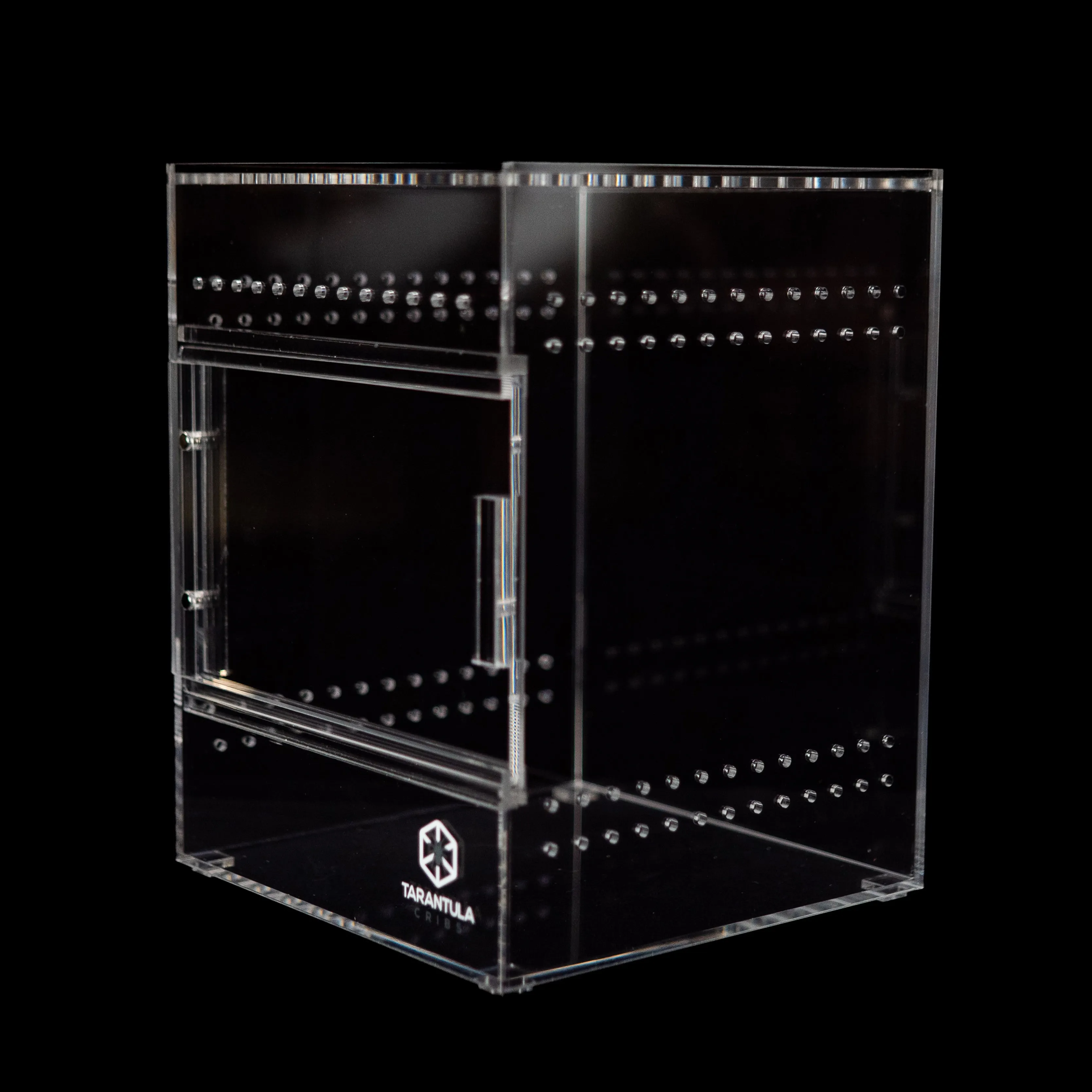 15873 tarantula enclosure kenya 5